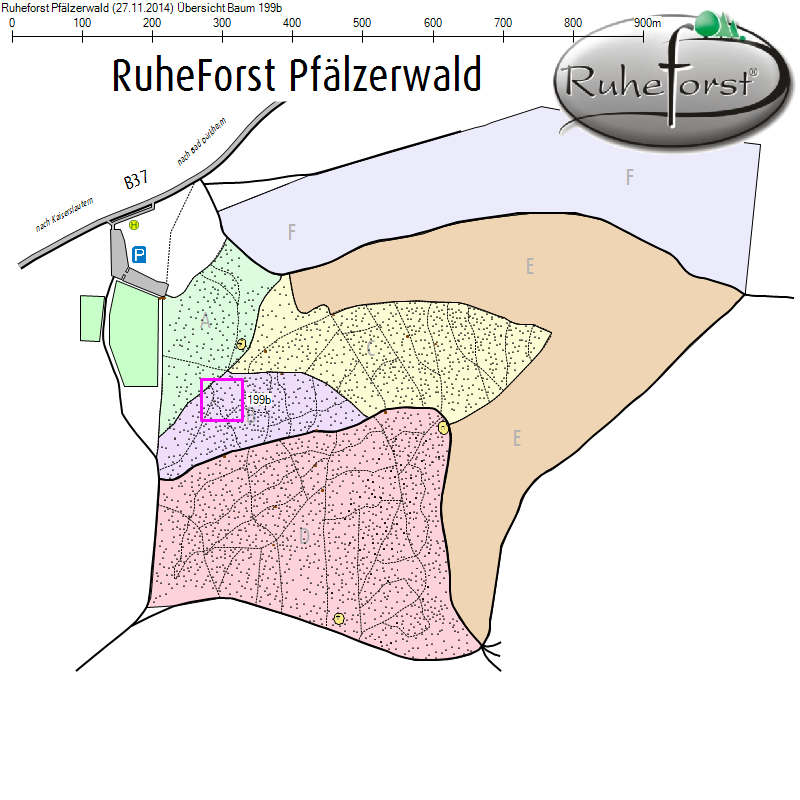 Übersichtskarte zu Baum 199b