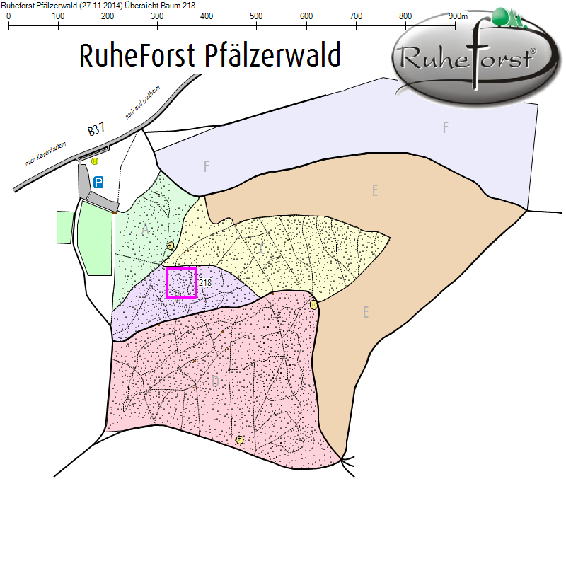 Übersichtskarte zu Baum 218