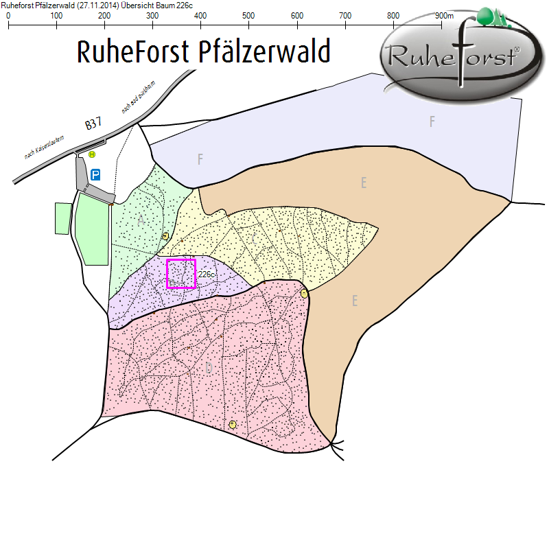 Übersichtskarte zu Baum 226c