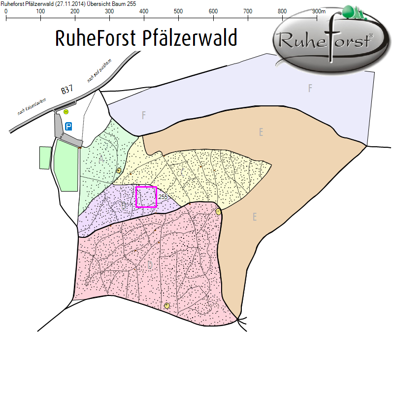 Übersichtskarte zu Baum 255