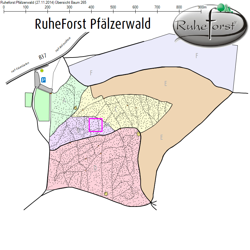 Übersichtskarte zu Baum 265