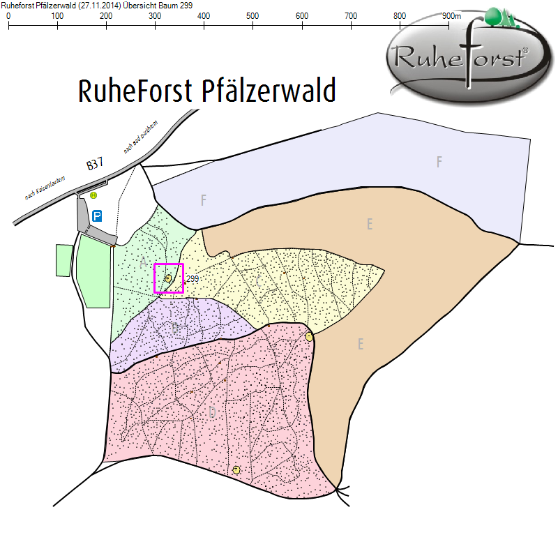 Übersichtskarte zu Baum 299