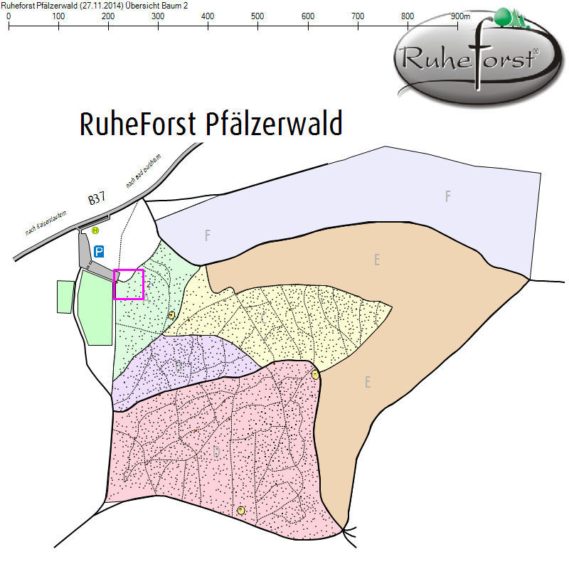 Übersichtskarte zu Baum 2