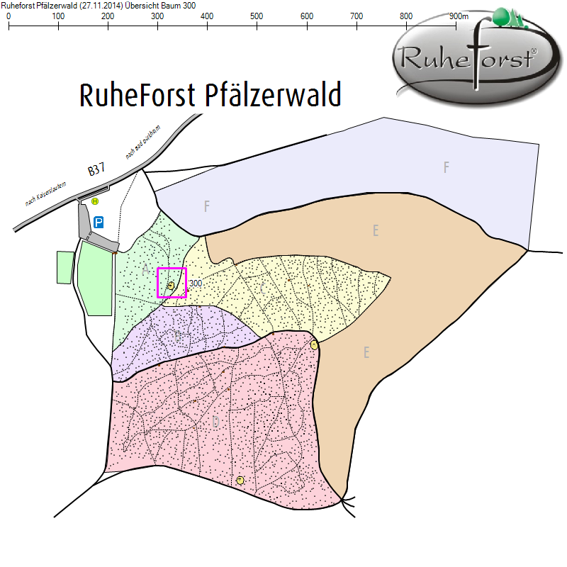 Übersichtskarte zu Baum 300