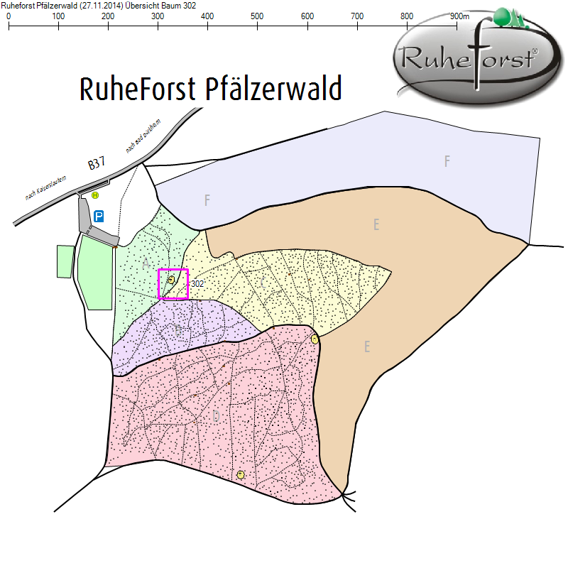 Übersichtskarte zu Baum 302