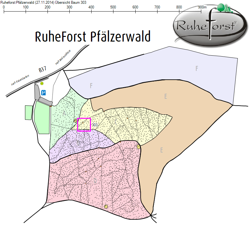 Übersichtskarte zu Baum 303