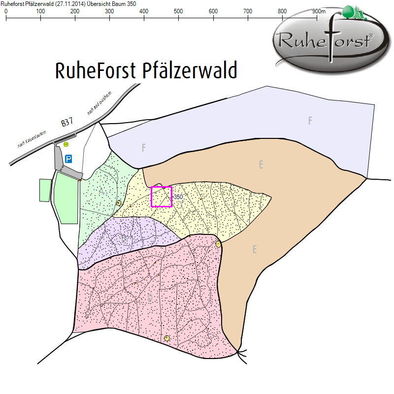 Übersichtskarte zu Baum 350