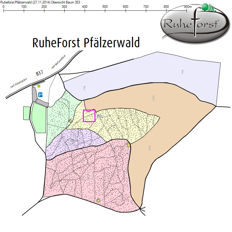 Übersichtskarte zu Baum 353