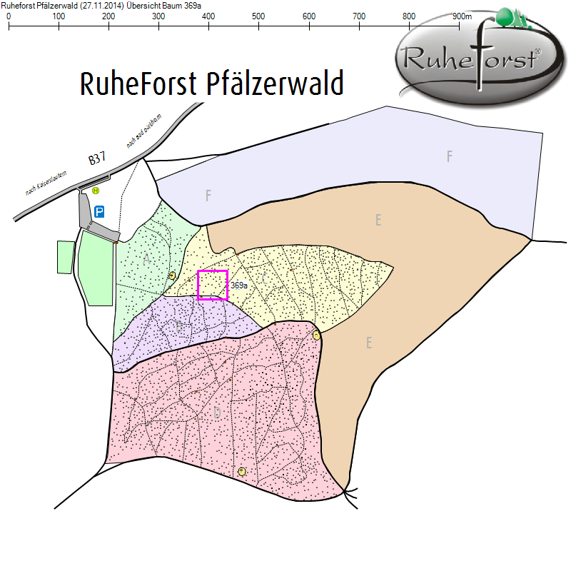 Übersichtskarte zu Baum 369a