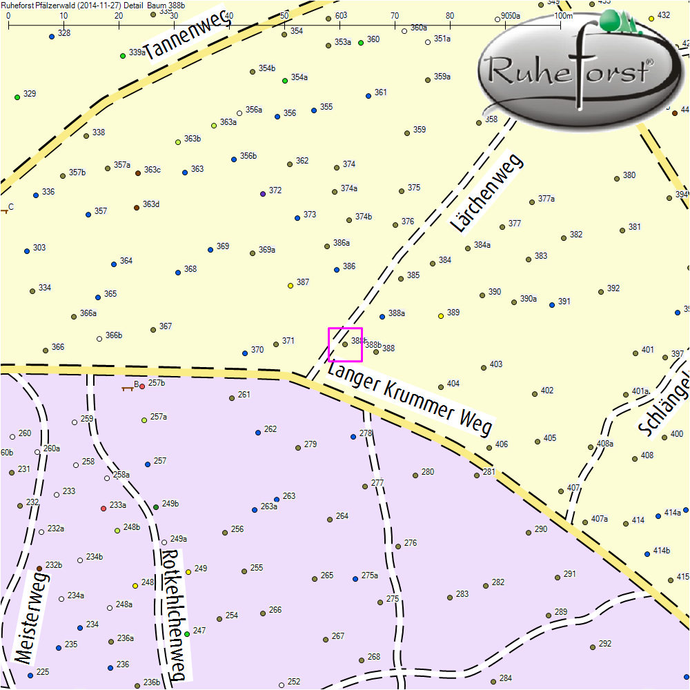 Detailkarte zu Baum 388b