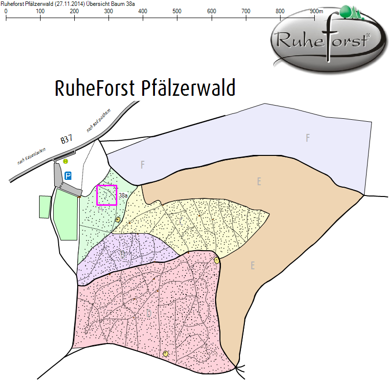 Übersichtskarte zu Baum 38a