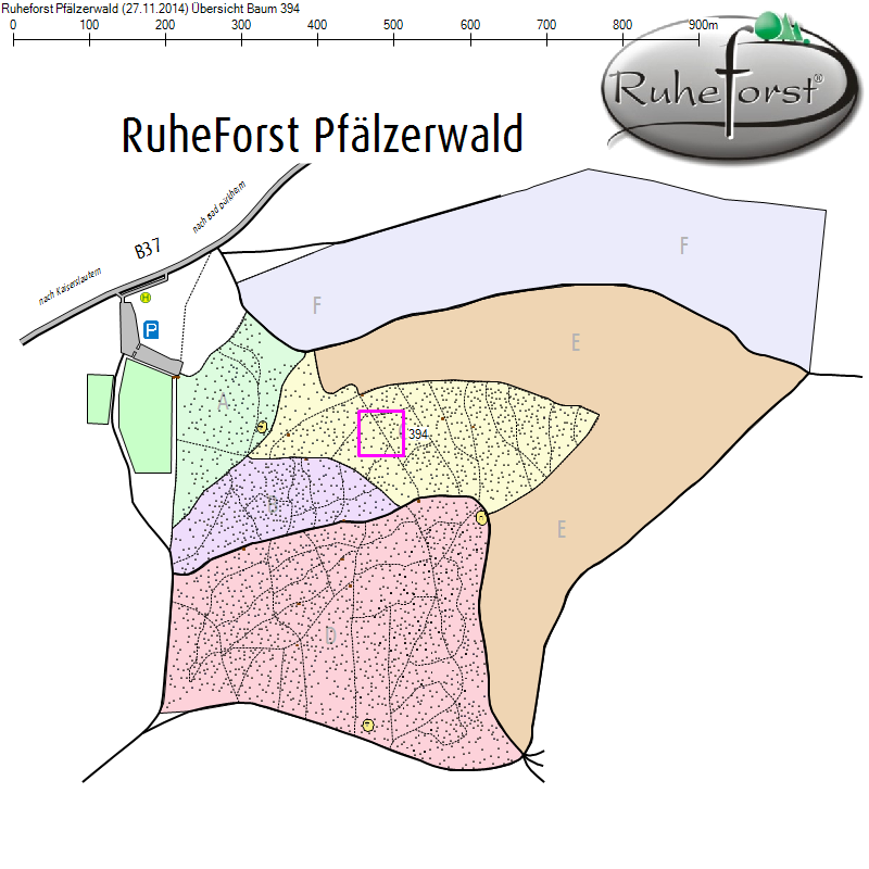 Übersichtskarte zu Baum 394