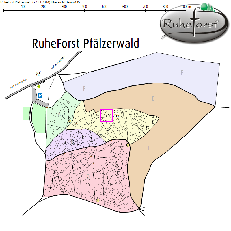 Übersichtskarte zu Baum 435