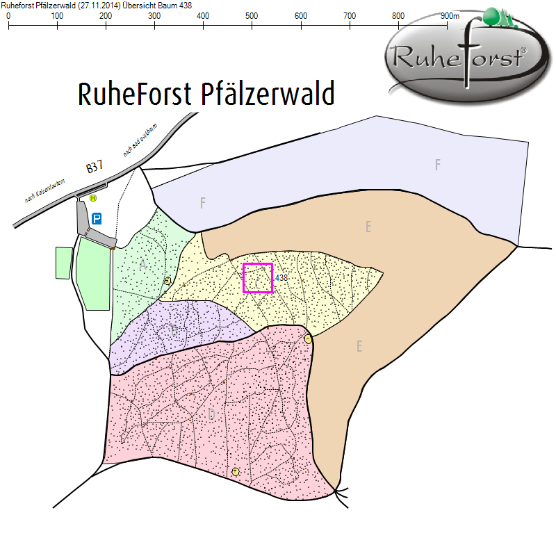 Übersichtskarte zu Baum 438