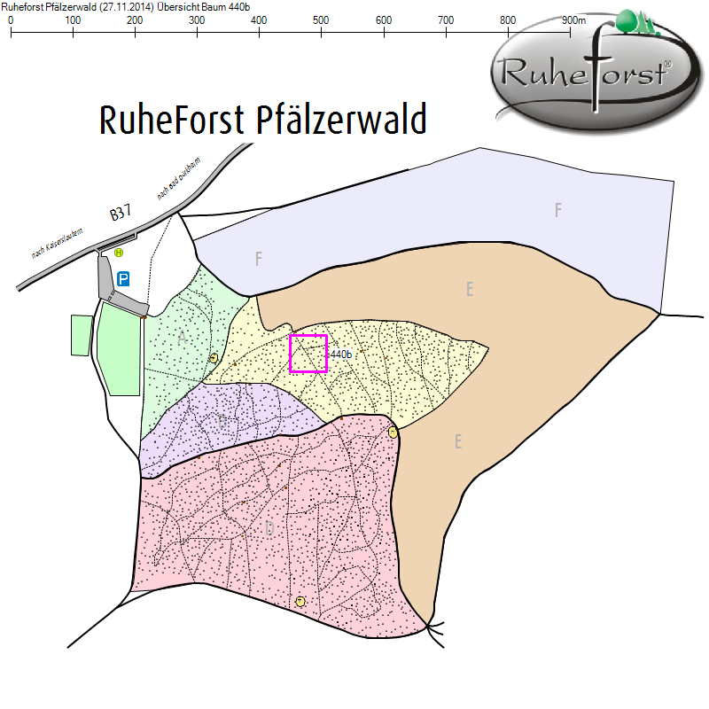 Übersichtskarte zu Baum 440b