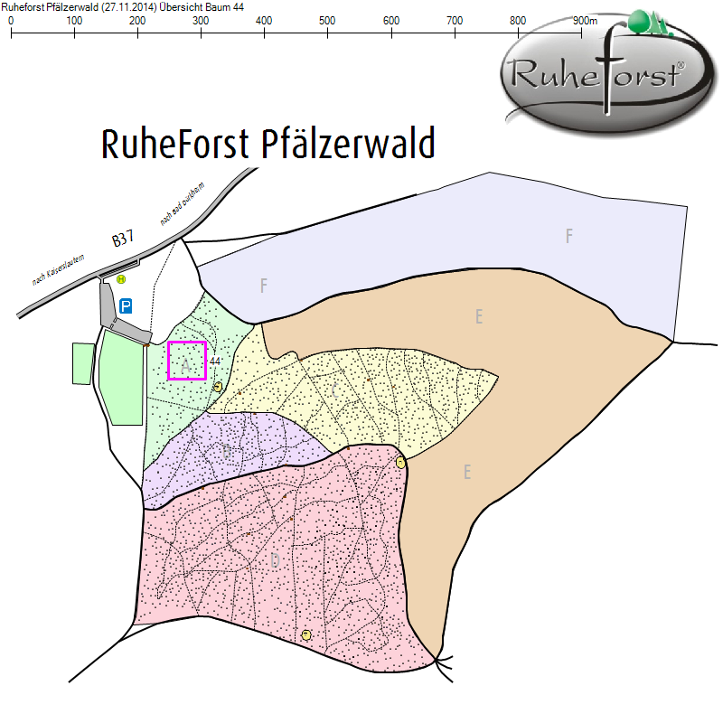 Übersichtskarte zu Baum 44