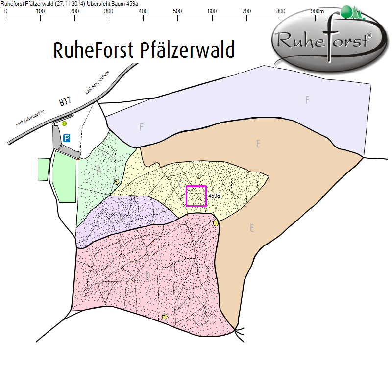 Übersichtskarte zu Baum 459a