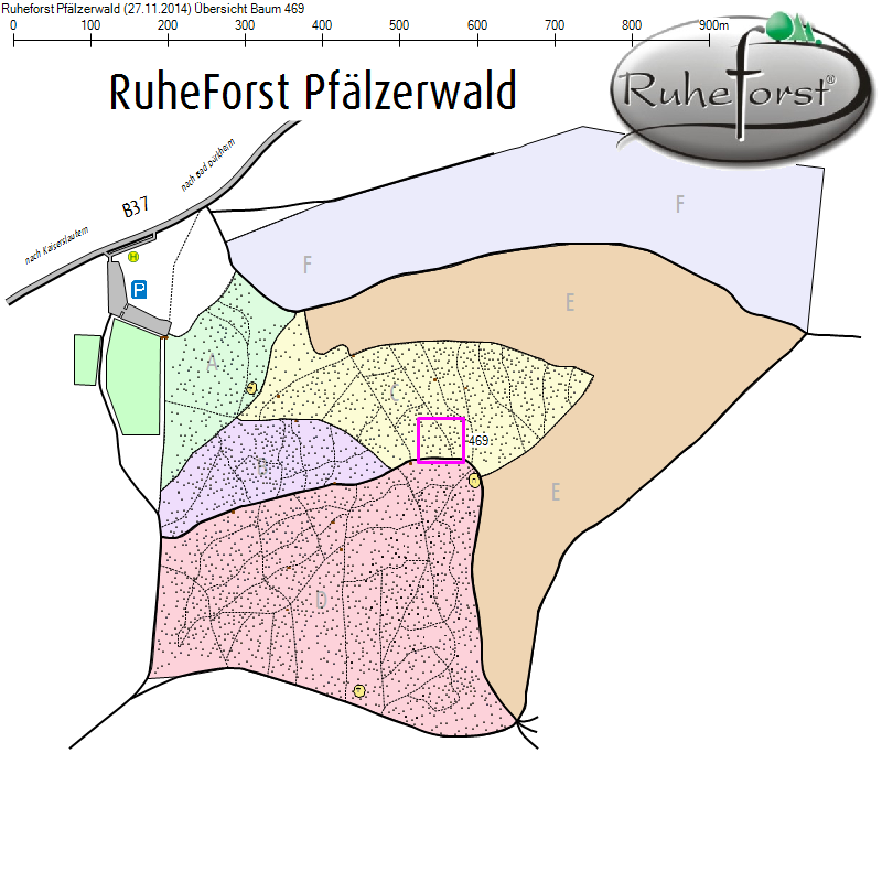 Übersichtskarte zu Baum 469