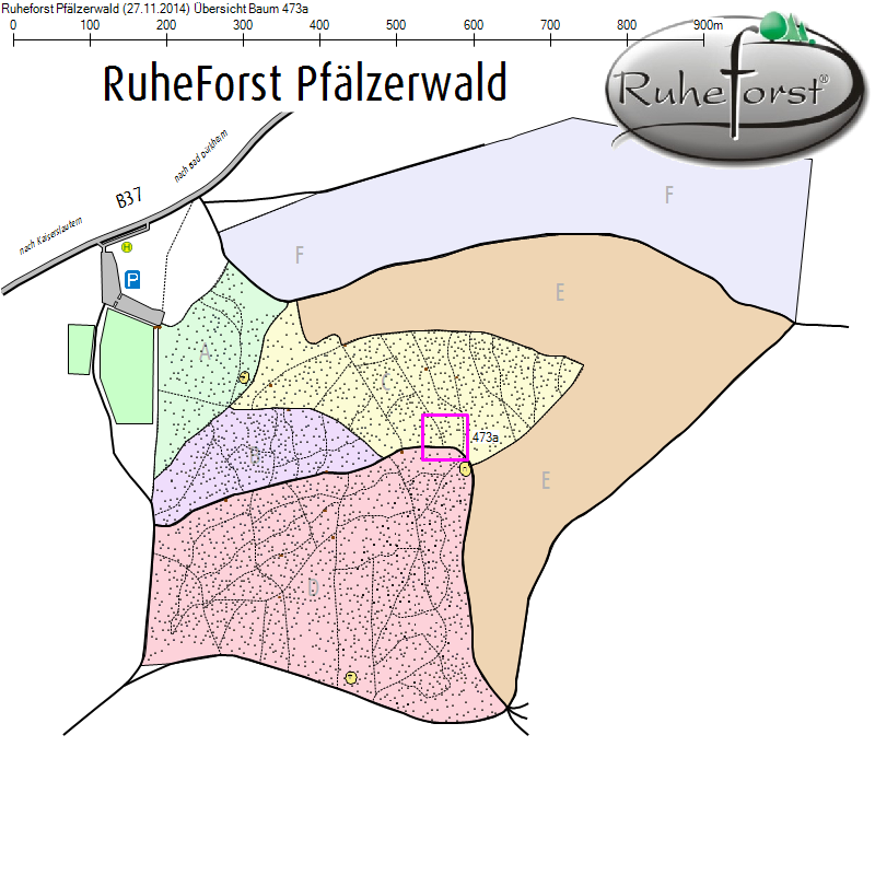 Übersichtskarte zu Baum 473a