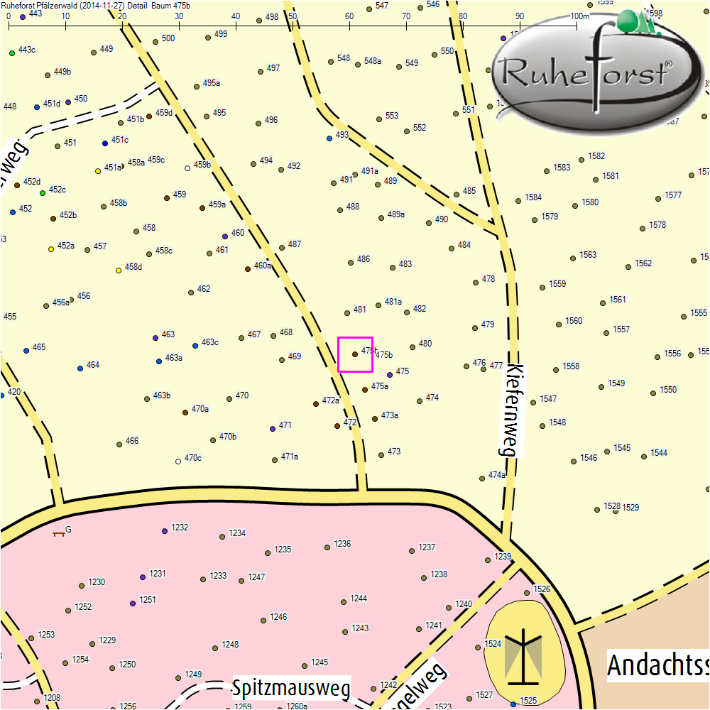 Detailkarte zu Baum 475b