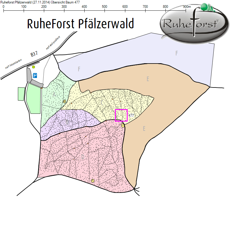 Übersichtskarte zu Baum 477