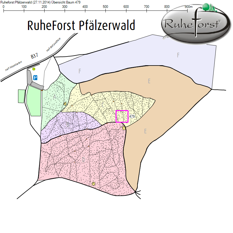 Übersichtskarte zu Baum 479