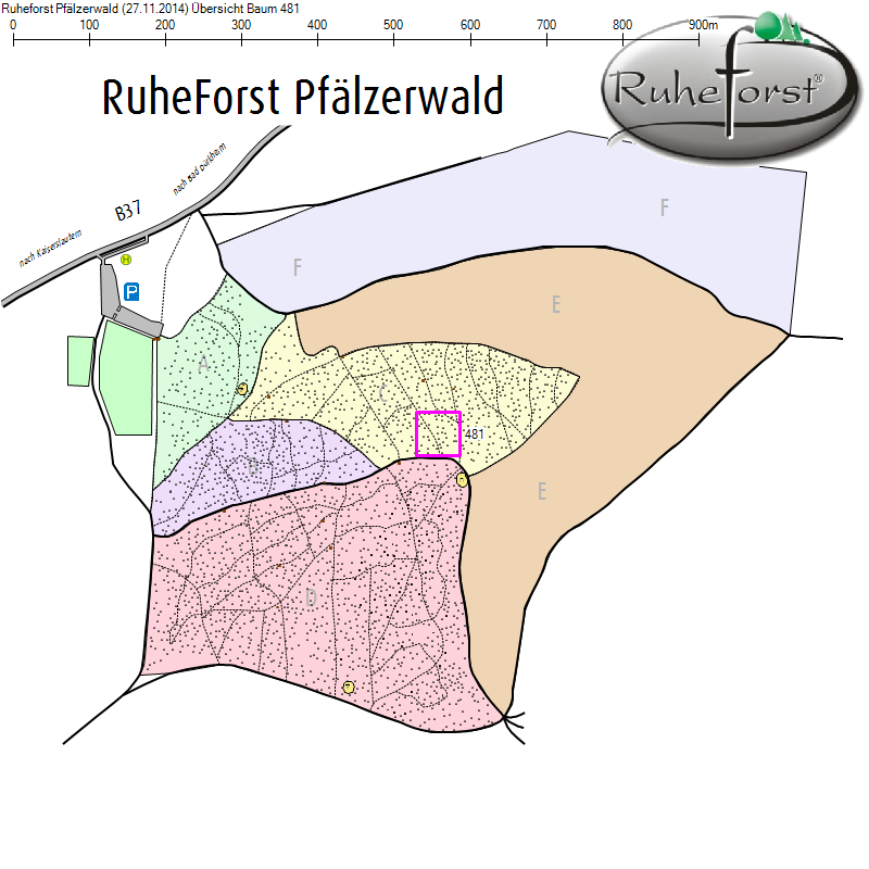 Übersichtskarte zu Baum 481