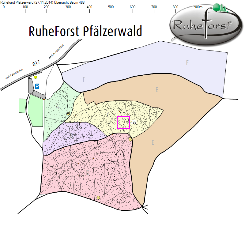 Übersichtskarte zu Baum 488