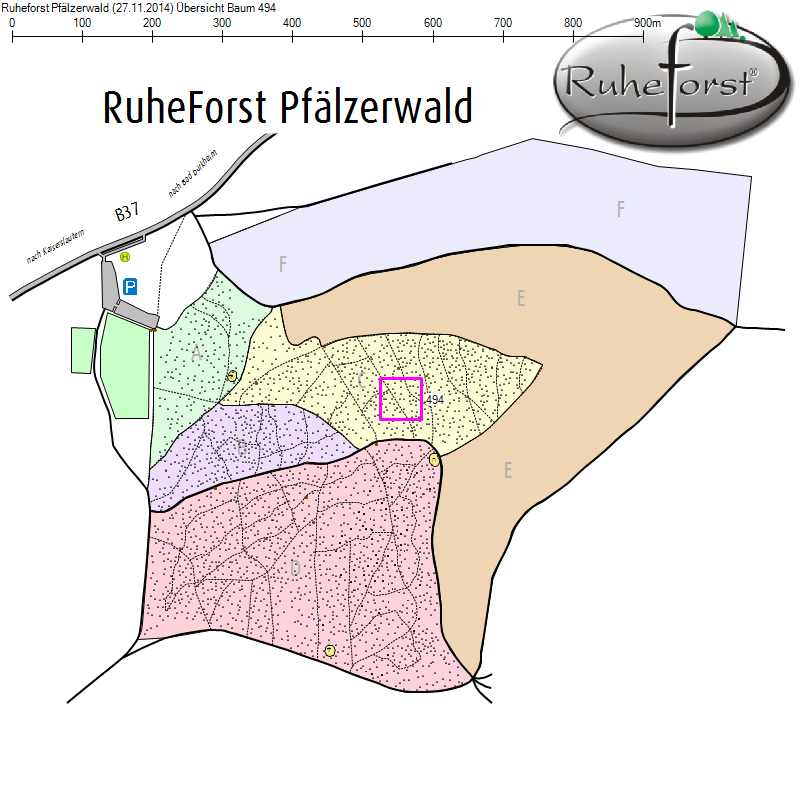 Übersichtskarte zu Baum 494