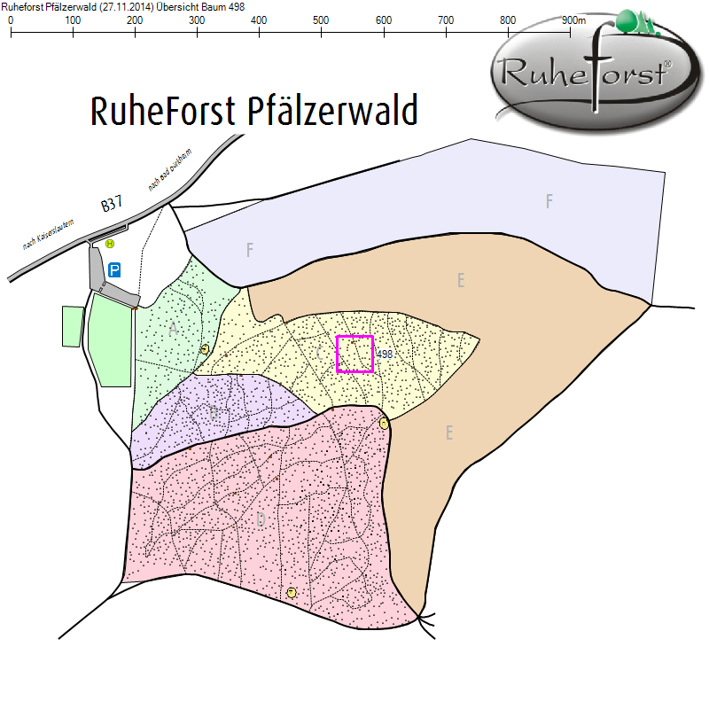 Übersichtskarte zu Baum 498