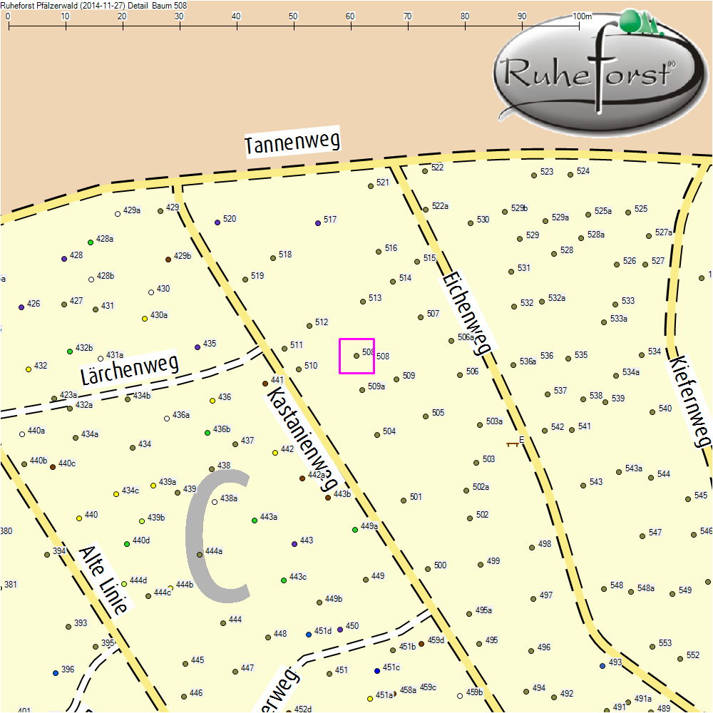 Detailkarte zu Baum 508
