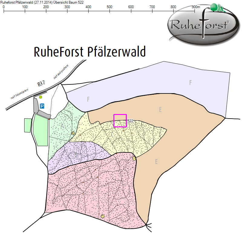 Übersichtskarte zu Baum 522