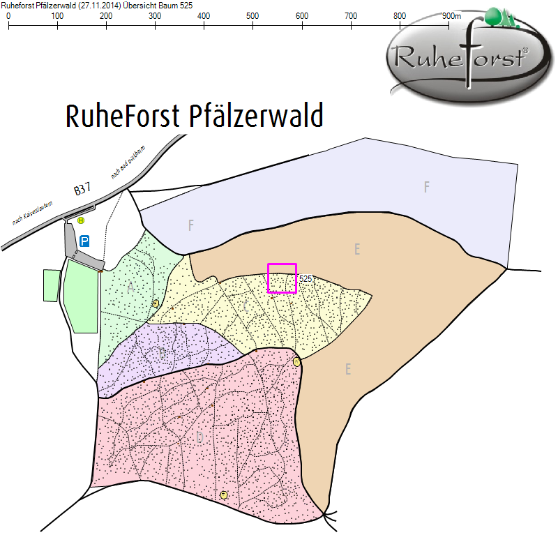 Übersichtskarte zu Baum 525