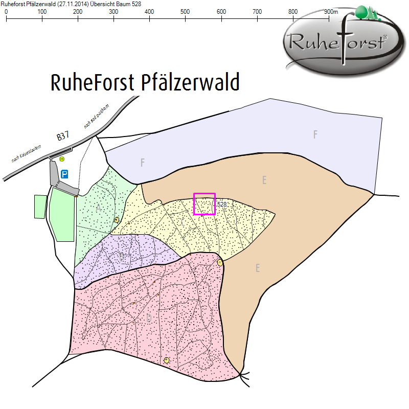 Übersichtskarte zu Baum 528