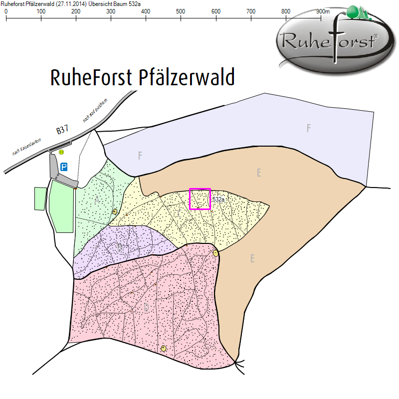 Übersichtskarte zu Baum 532a