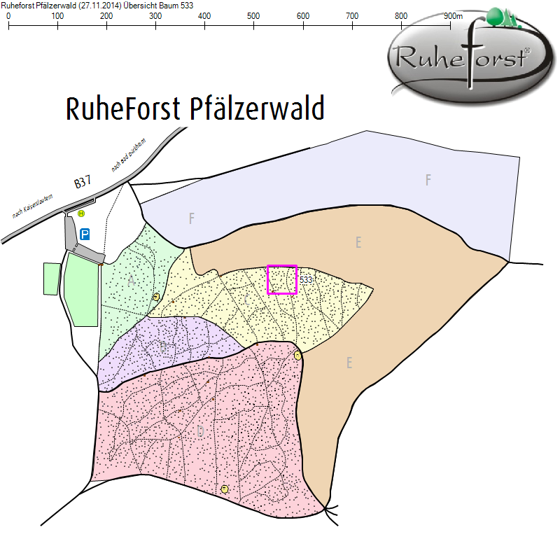 Übersichtskarte zu Baum 533