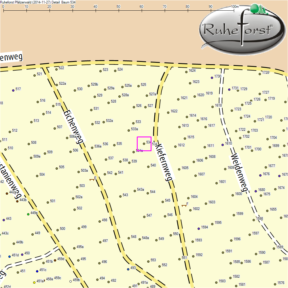 Detailkarte zu Baum 534