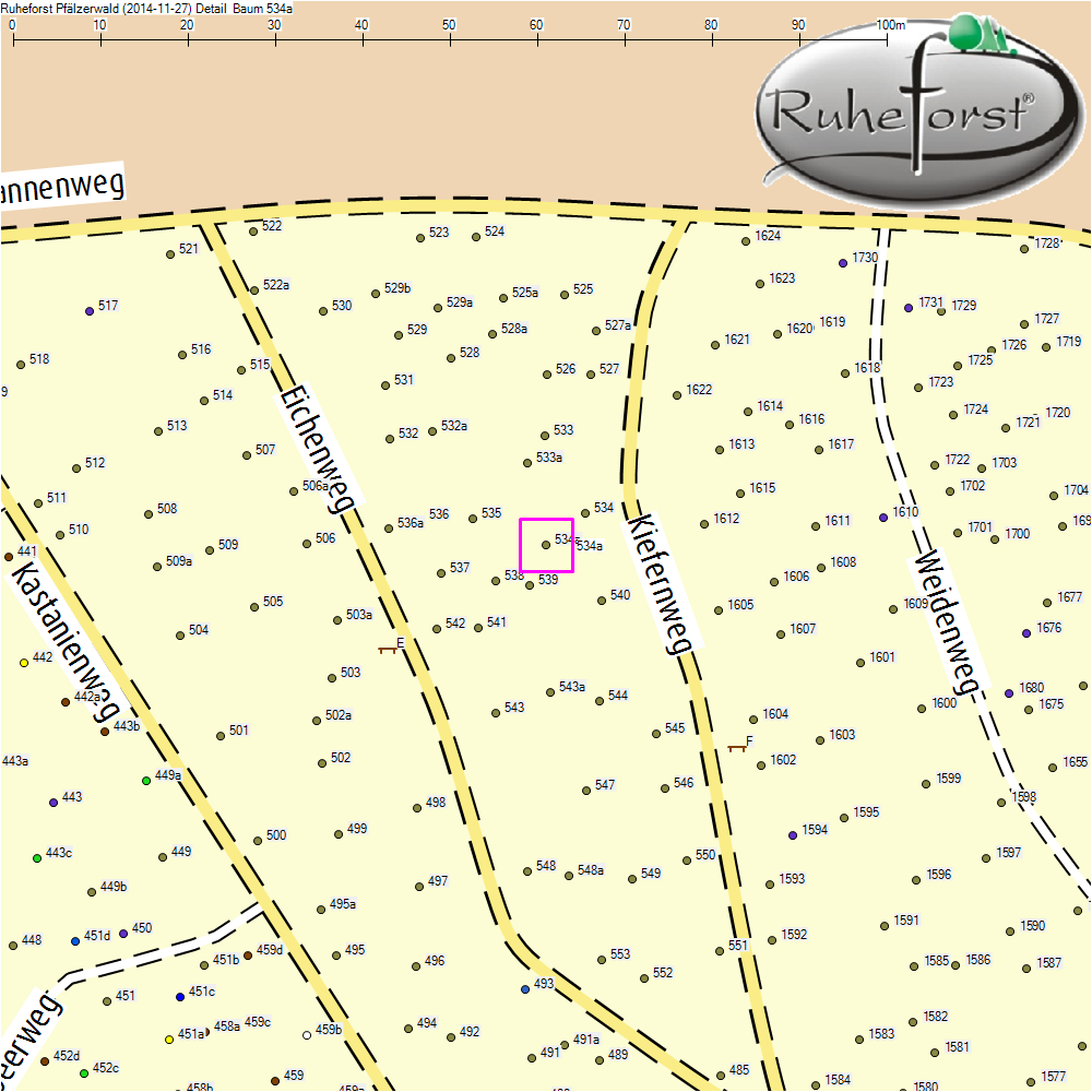 Detailkarte zu Baum 534a