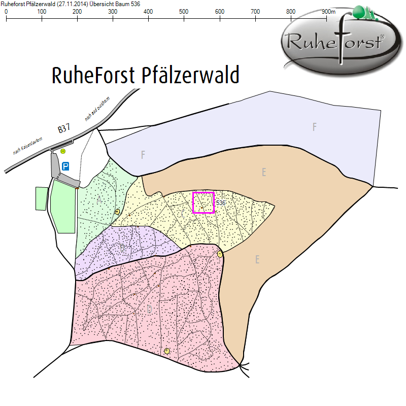 Übersichtskarte zu Baum 536