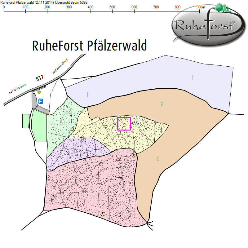 Übersichtskarte zu Baum 536a