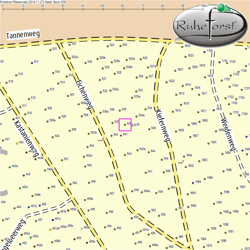 Detailkarte zu Baum 538