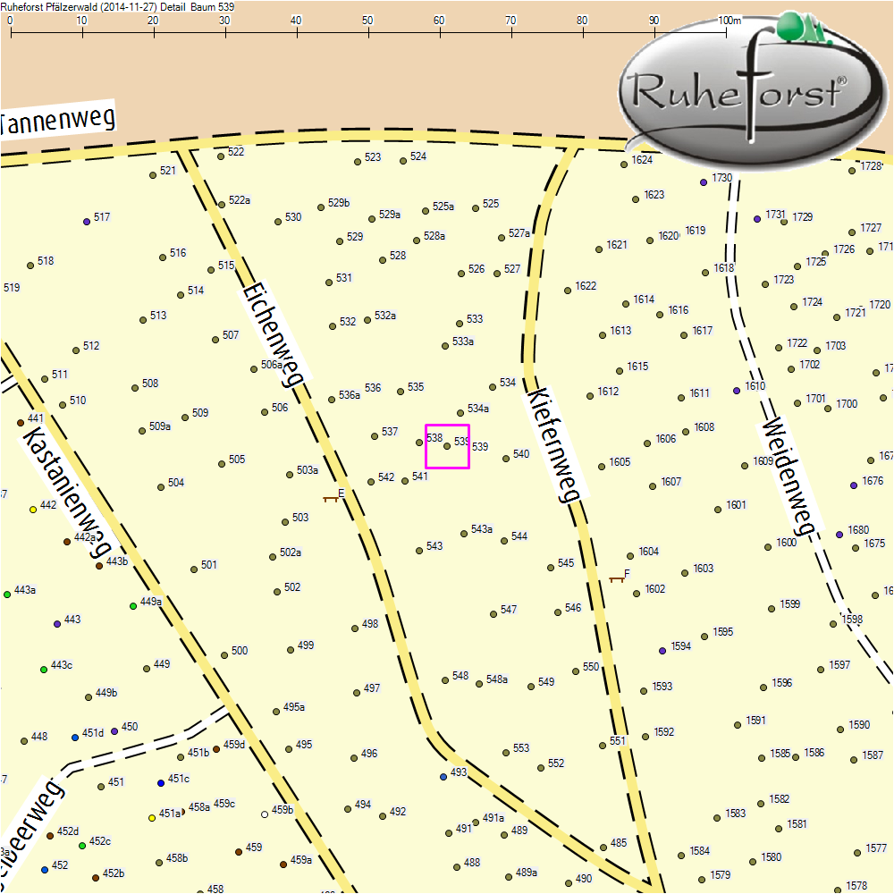 Detailkarte zu Baum 539