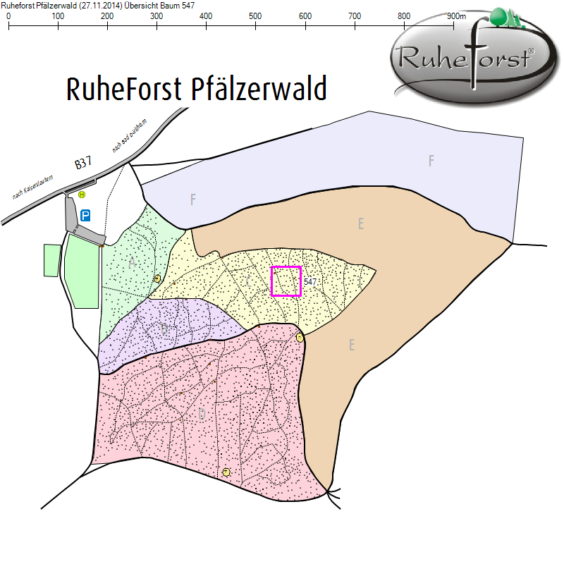 Übersichtskarte zu Baum 547