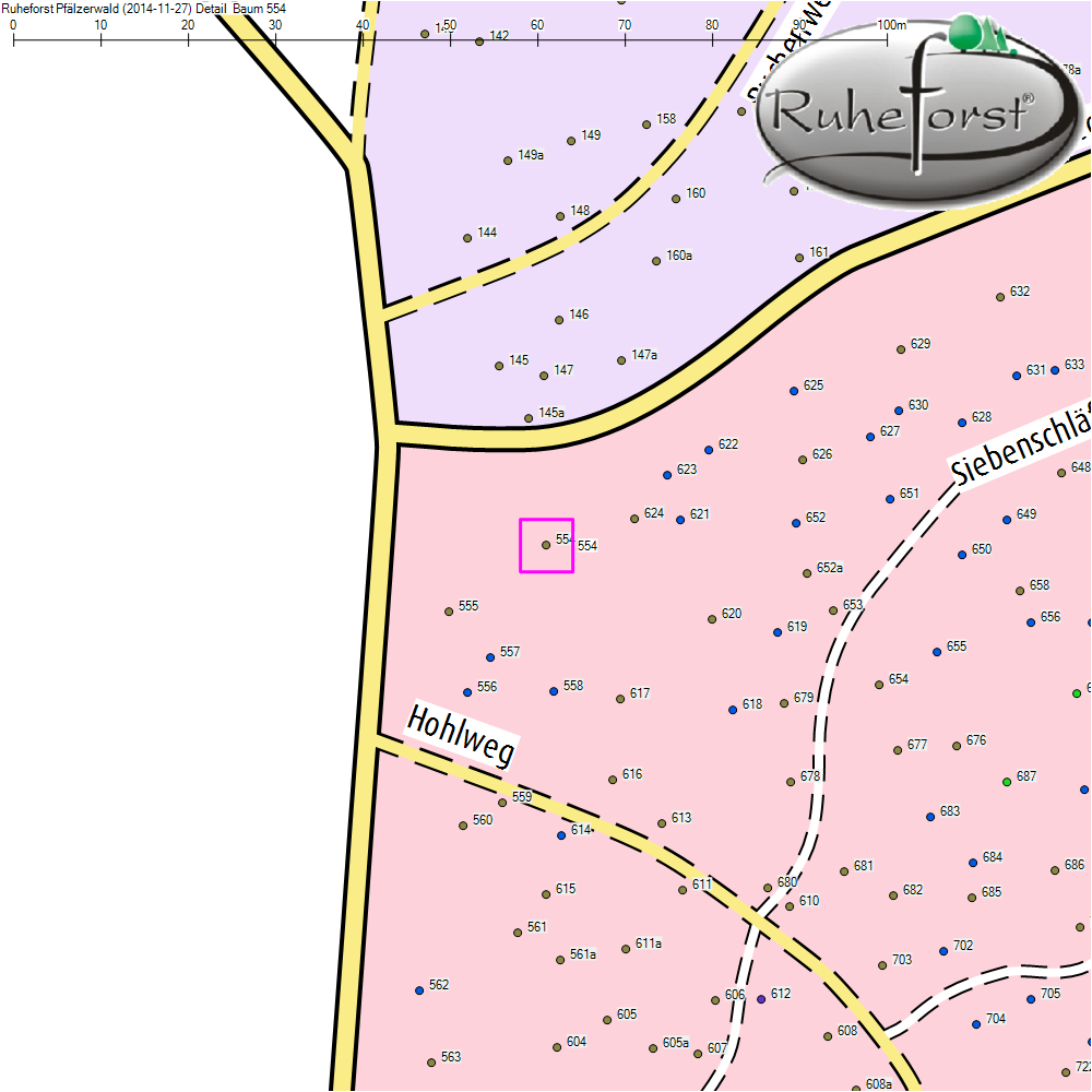 Detailkarte zu Baum 554