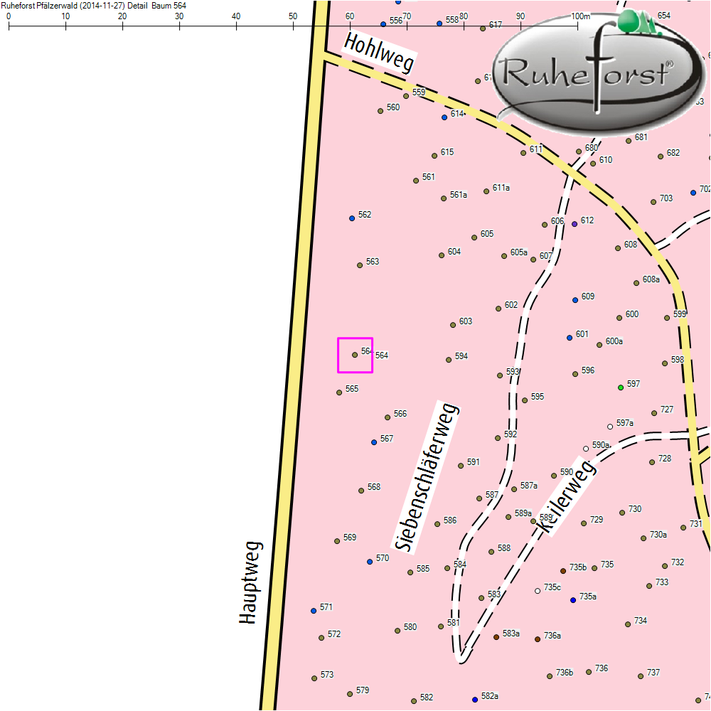 Detailkarte zu Baum 564