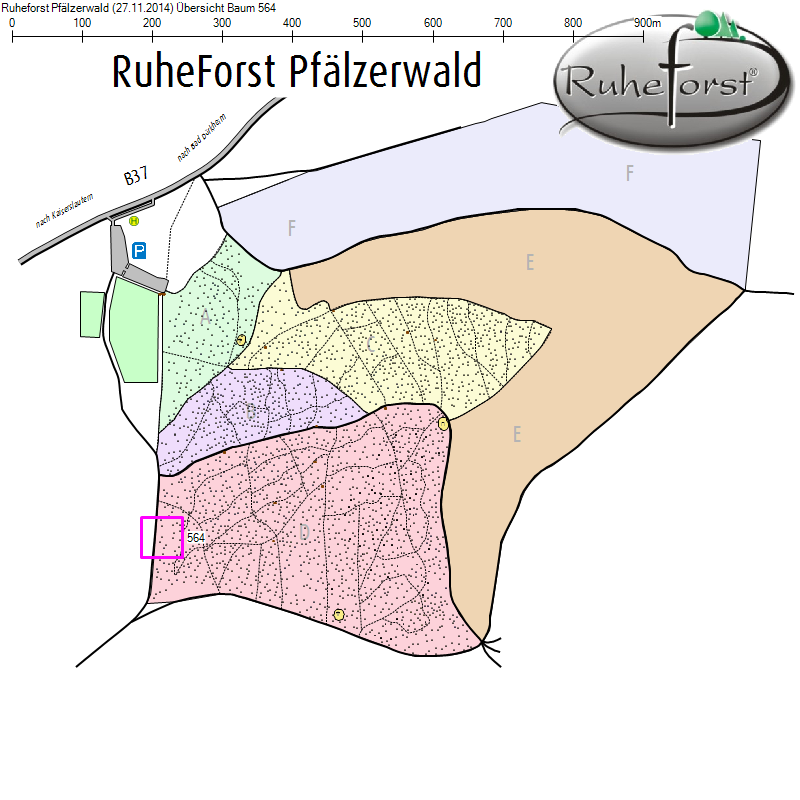 Übersichtskarte zu Baum 564