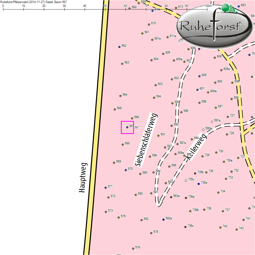Detailkarte zu Baum 567