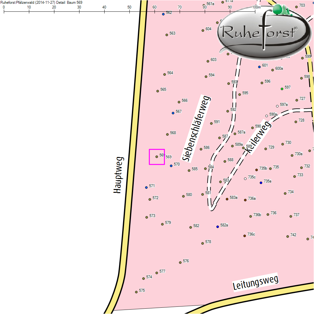 Detailkarte zu Baum 569