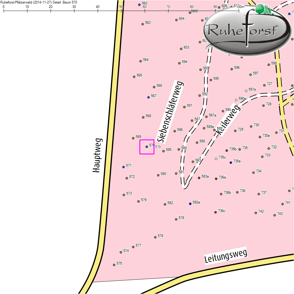Detailkarte zu Baum 570