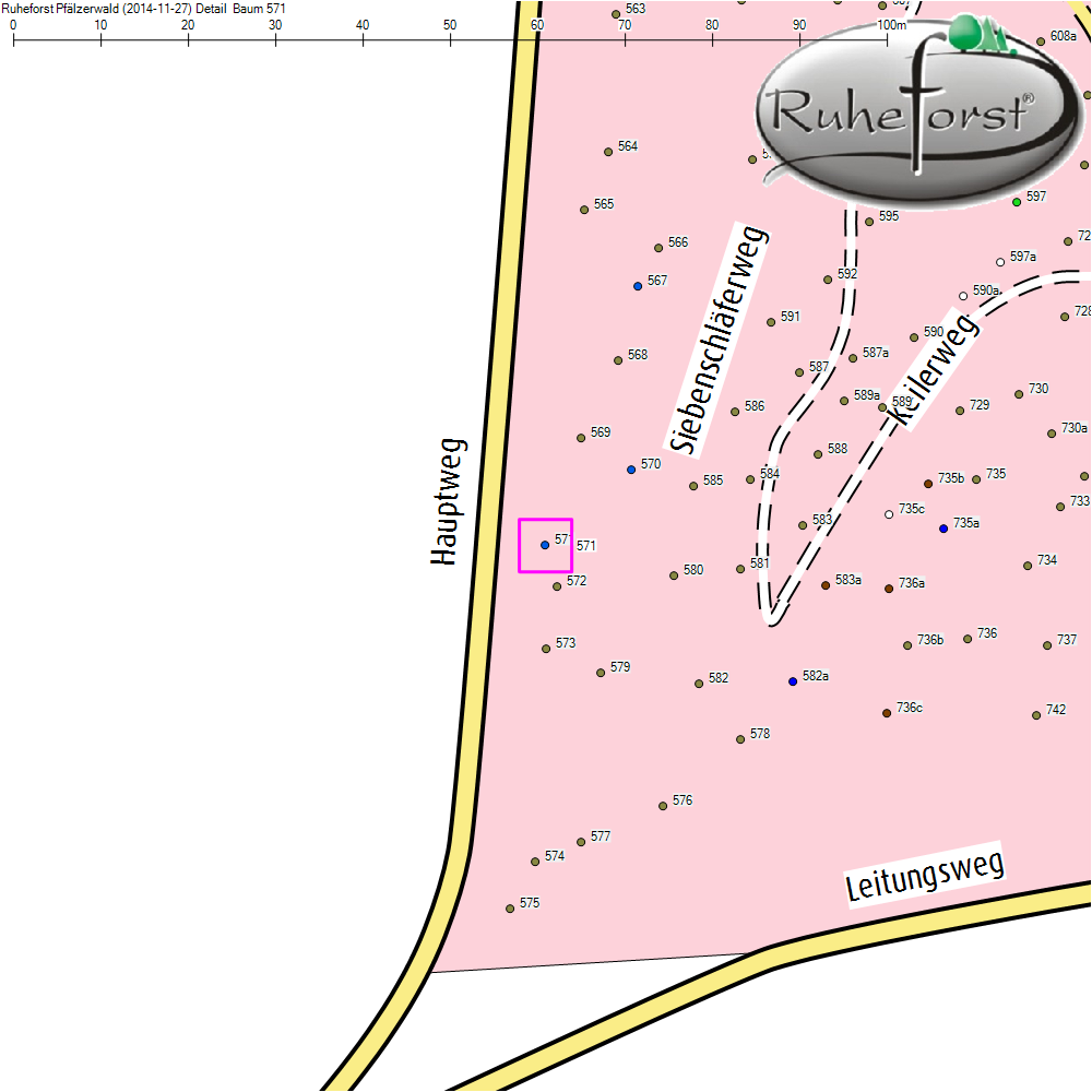 Detailkarte zu Baum 571